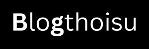 blogthoisu.com